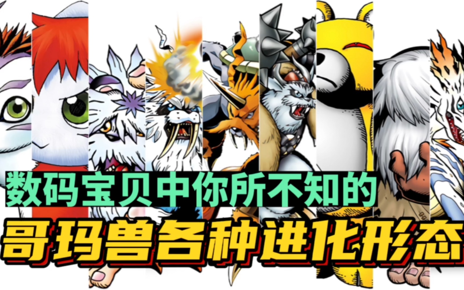 盘点数码宝贝中你所不知的哥玛兽各种进化形态