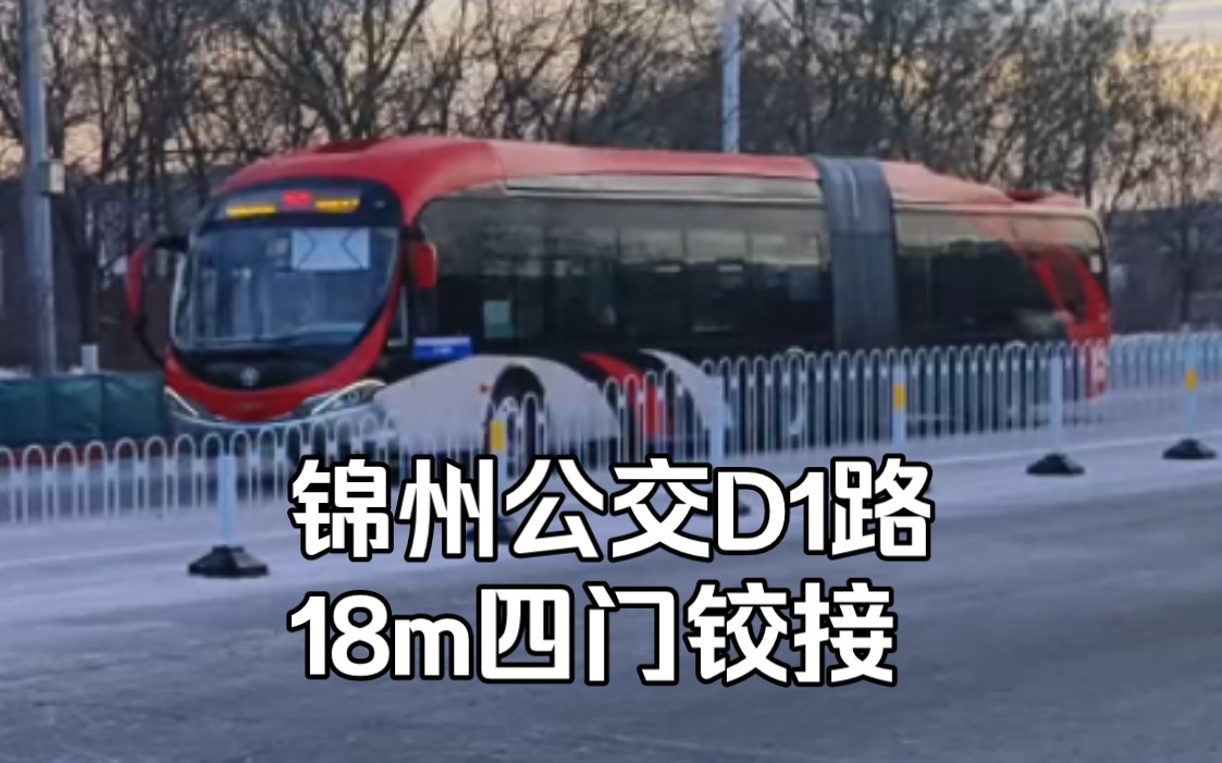(再遇红鱼)早间锦州南 ,四门大铰接 锦州公交d1路驶在南站新区～(该车