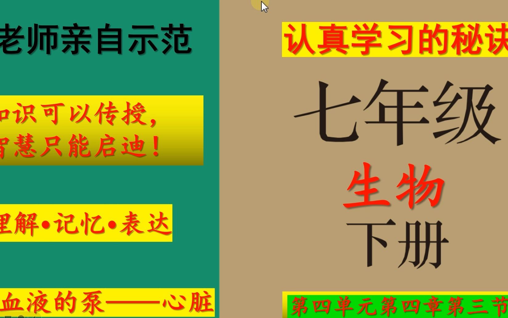 七年级生物下册第四单元第四章第三节“输送血液的泵——心脏”教材问题及课后练习哔哩哔哩bilibili