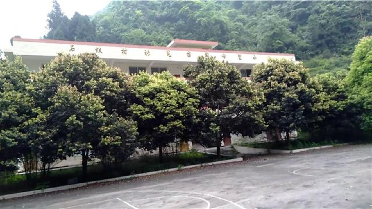 张冕苗圃希望小学图片