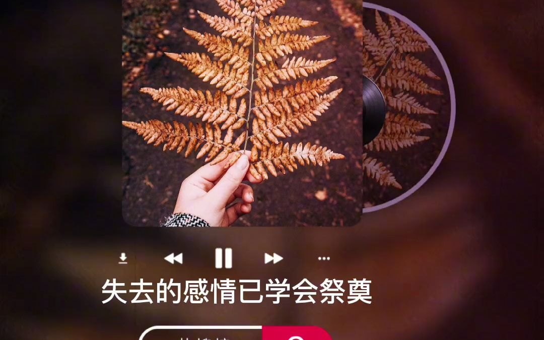 [图]【歌曲推荐】《墨尔本的秋天》完整版来了！很好听的一首歌