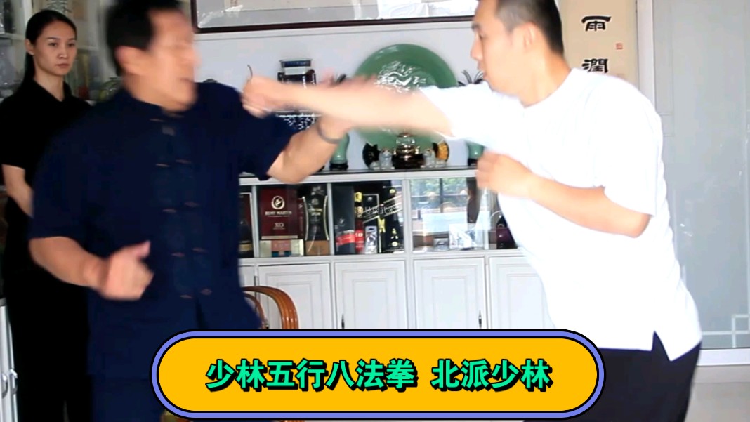 少林五行八法拳 北派少林拳术