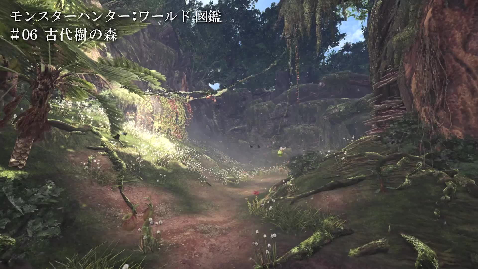 怪物猎人世界モンスターハンターワールド图鉴06古代树森林