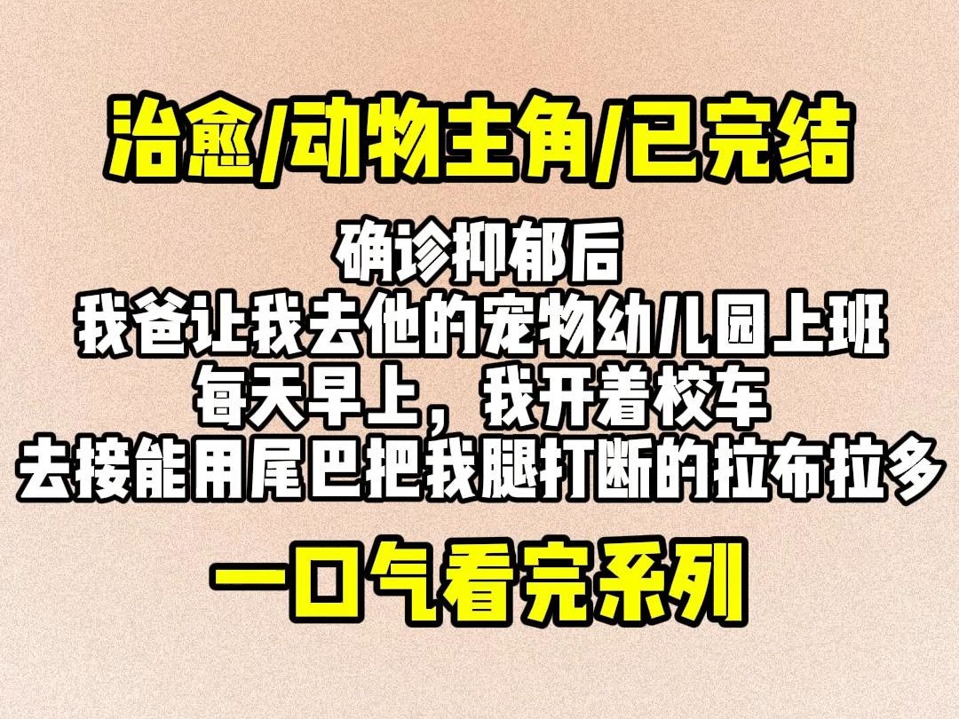 【完结文】确诊抑郁后,我爸让我去他的宠物幼儿园上班.每天早上,我开着校车.去接能用尾巴把我腿打断的拉布拉多……哔哩哔哩bilibili