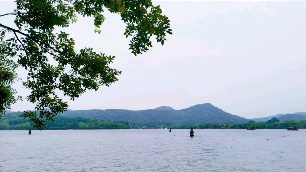 今日打卡,西湖美如花!
