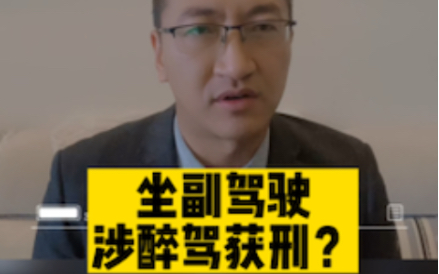 【刑事风险专题】坐副驾驶,为何涉危险驾驶罪?哔哩哔哩bilibili