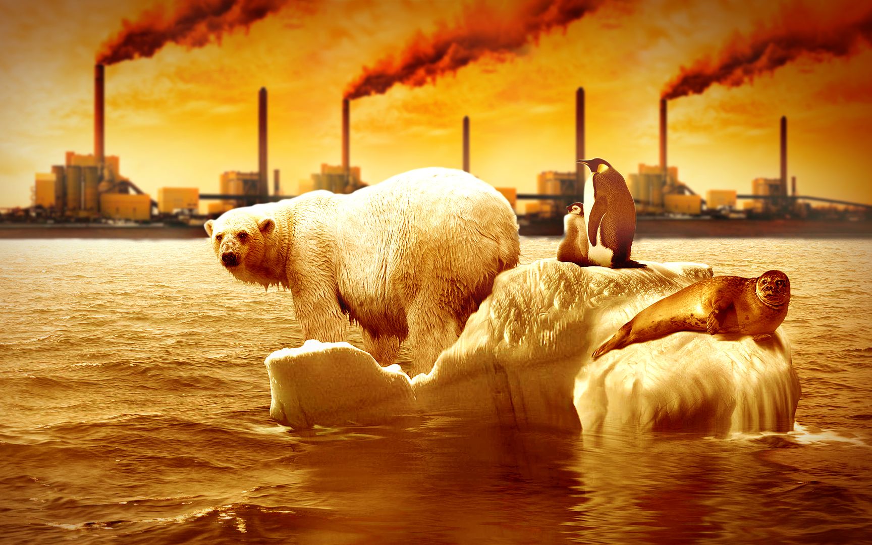 全球变暖愈演愈烈,100年后地球还会有冬季吗?