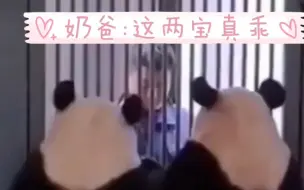 笑不活了，艾玖和润玥这对假双胞胎谁也不吃胡萝卜，自己不吃也不让别的雄熊吃，最后都别吃了