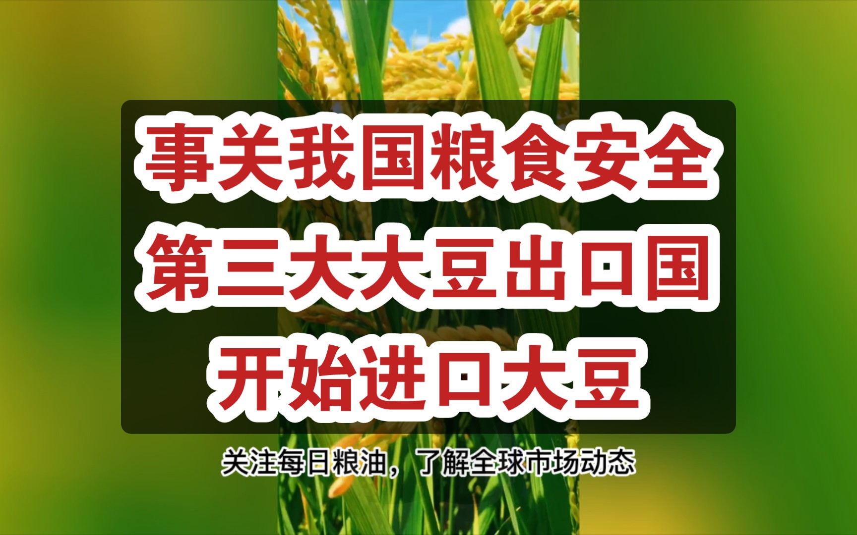 事关我国粮食安全 全球第三大大豆出口国开始进口大豆;乌克兰出口粮食 却让波兰农民拿到3000万欧元补偿哔哩哔哩bilibili