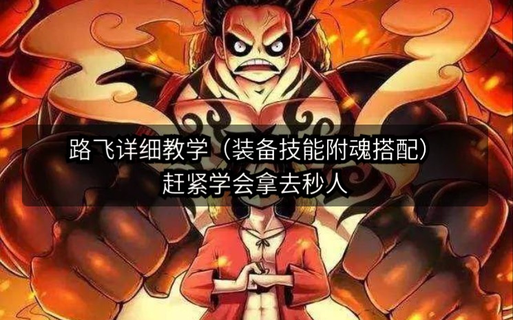 燃烧意志:详细解析新世界路飞,看完你也能秒五个哔哩哔哩bilibili