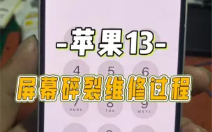 Download Video: 粉丝到店维修苹果13更换外屏！