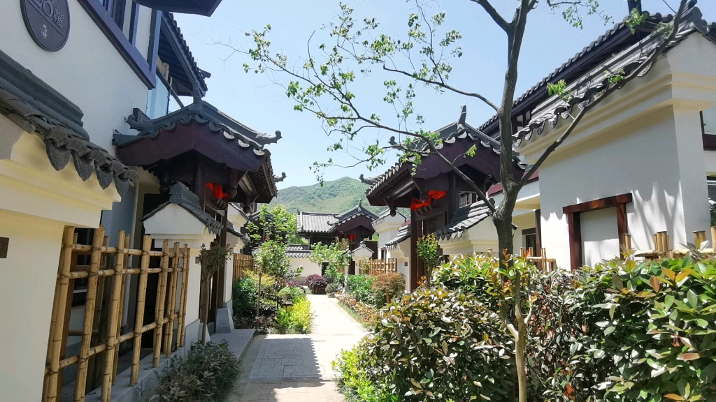 浙江长兴水口,大唐贡茶院独栋中式别墅.