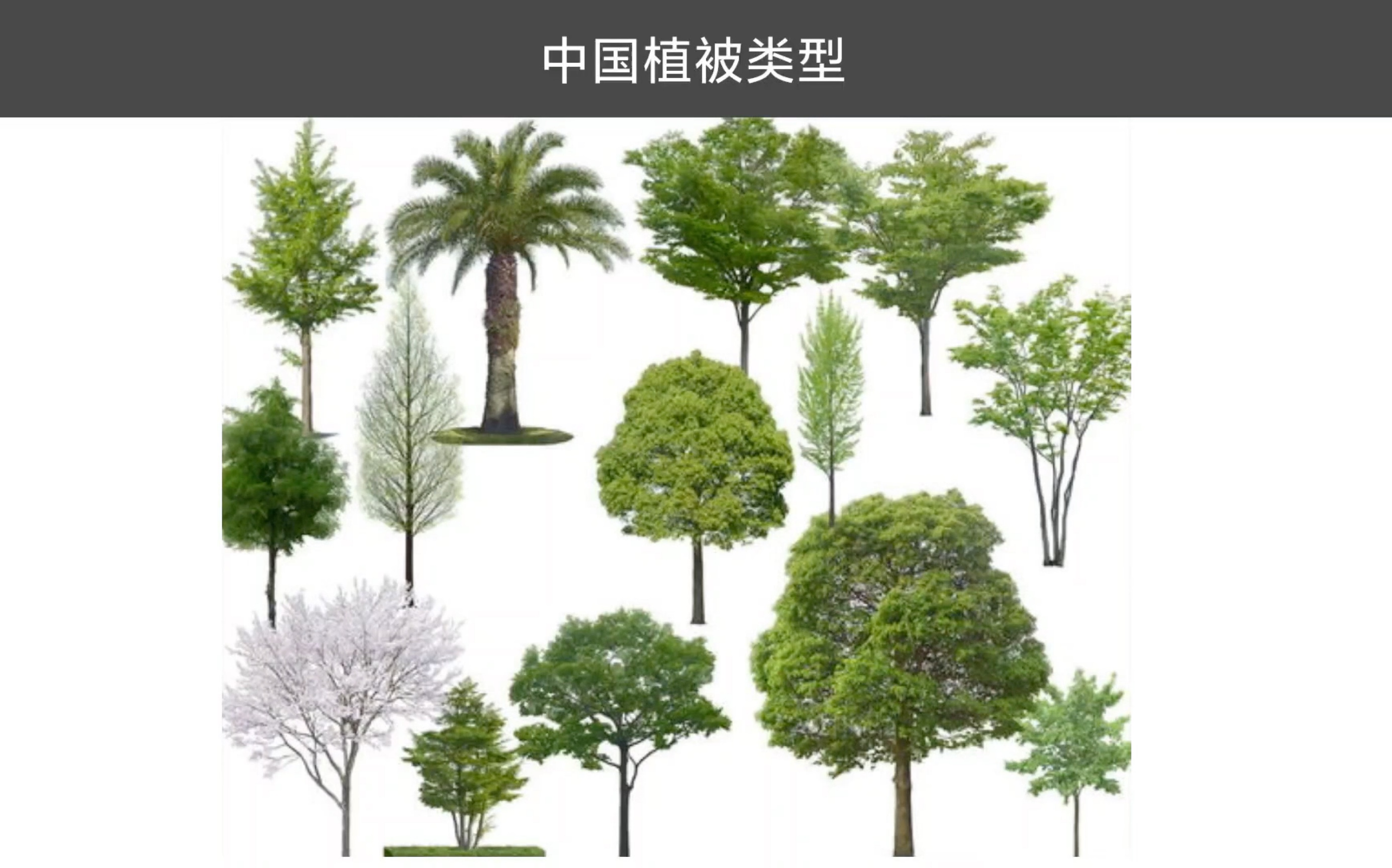 [图]中国植被类型及分布