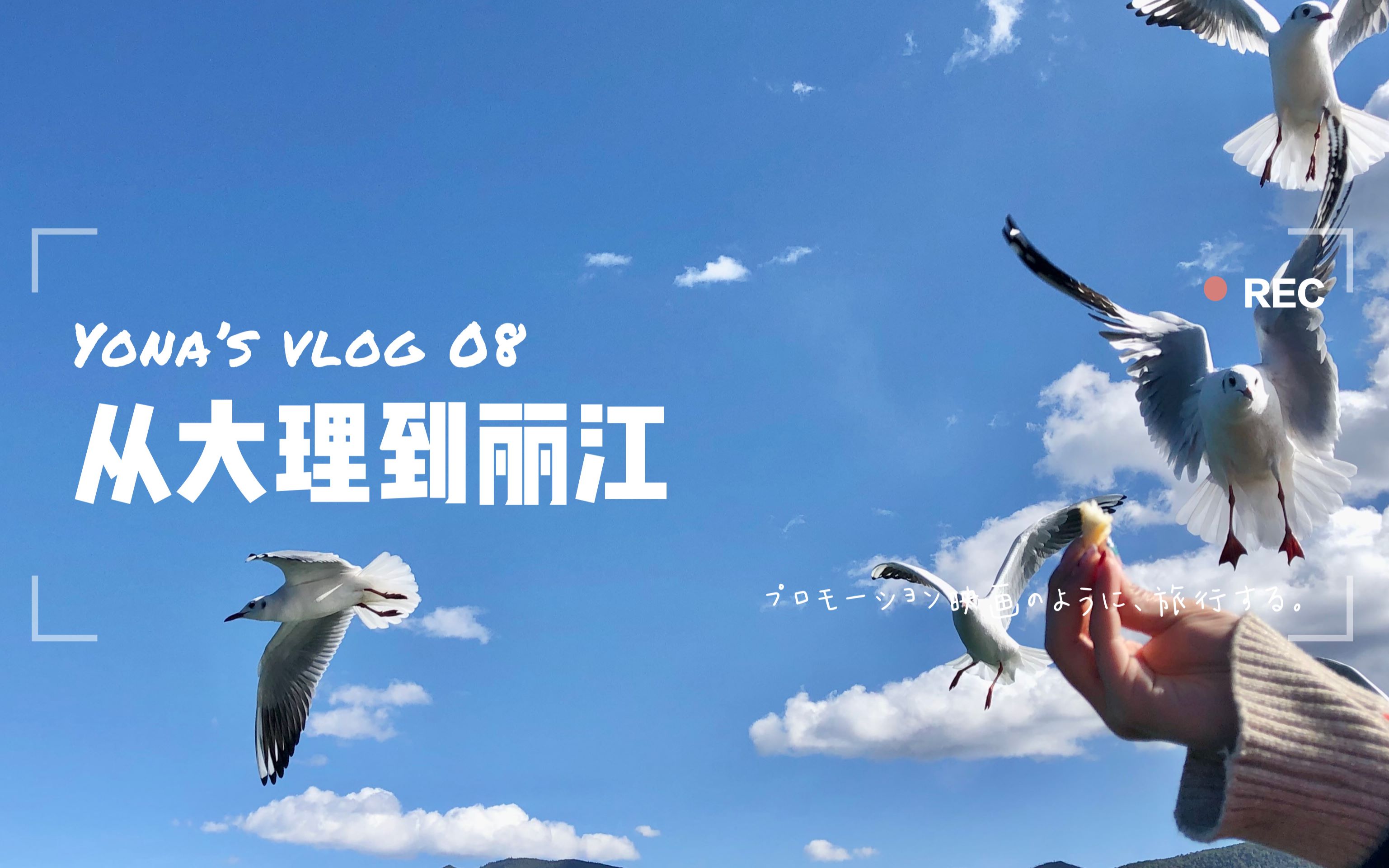 [图]VLOG08|南国春归|从大理到丽江