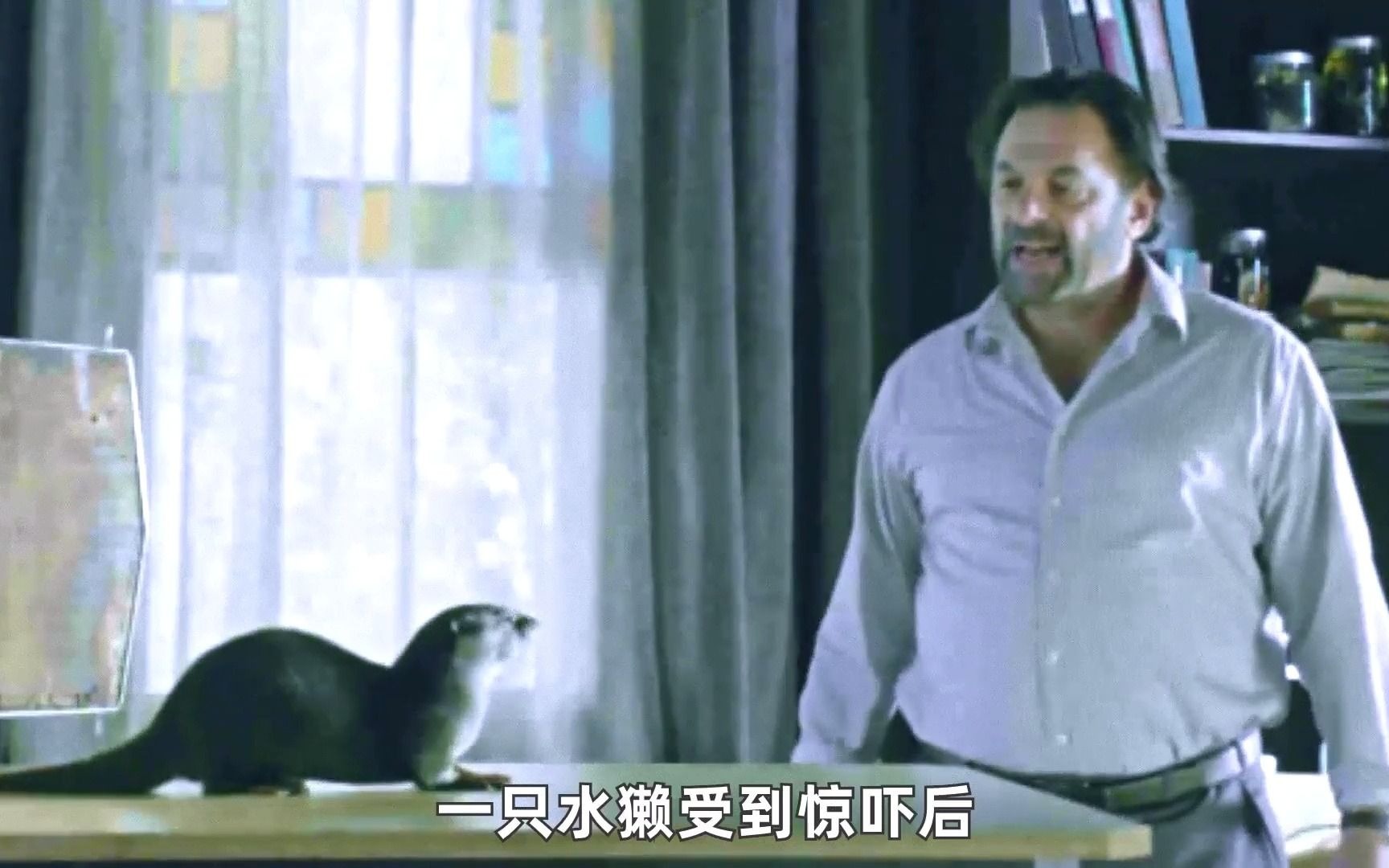 男子被狮子袭击,狮子却没有吃他,还帮他打电话叫救援《困兽》2