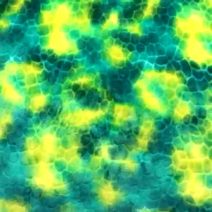 法兰绒全涤双面法莱绒针织剪花扎染法兰绒布服装家纺面料 cut pile