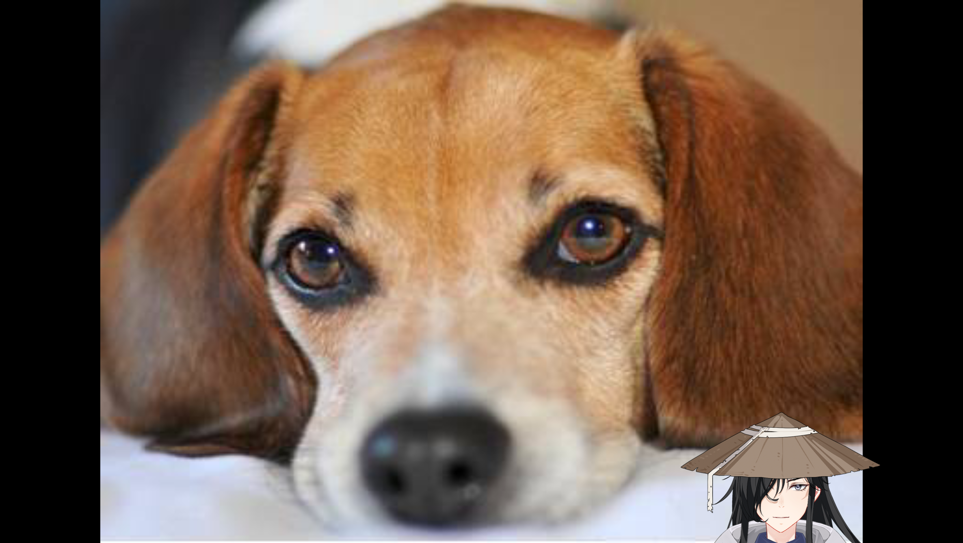 多么深情的眼神