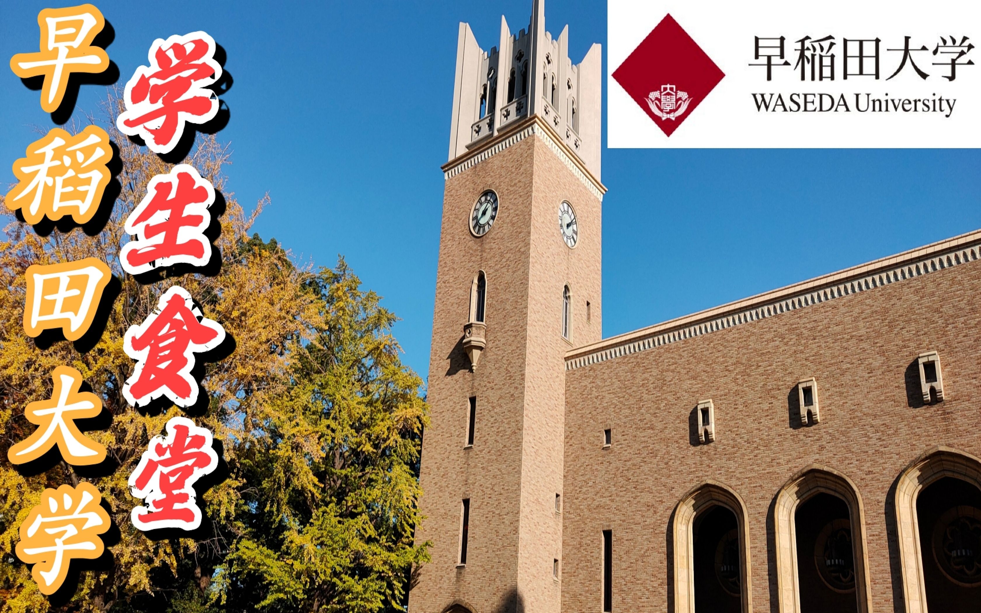 日本美食-早稻田大学,学生食堂美食