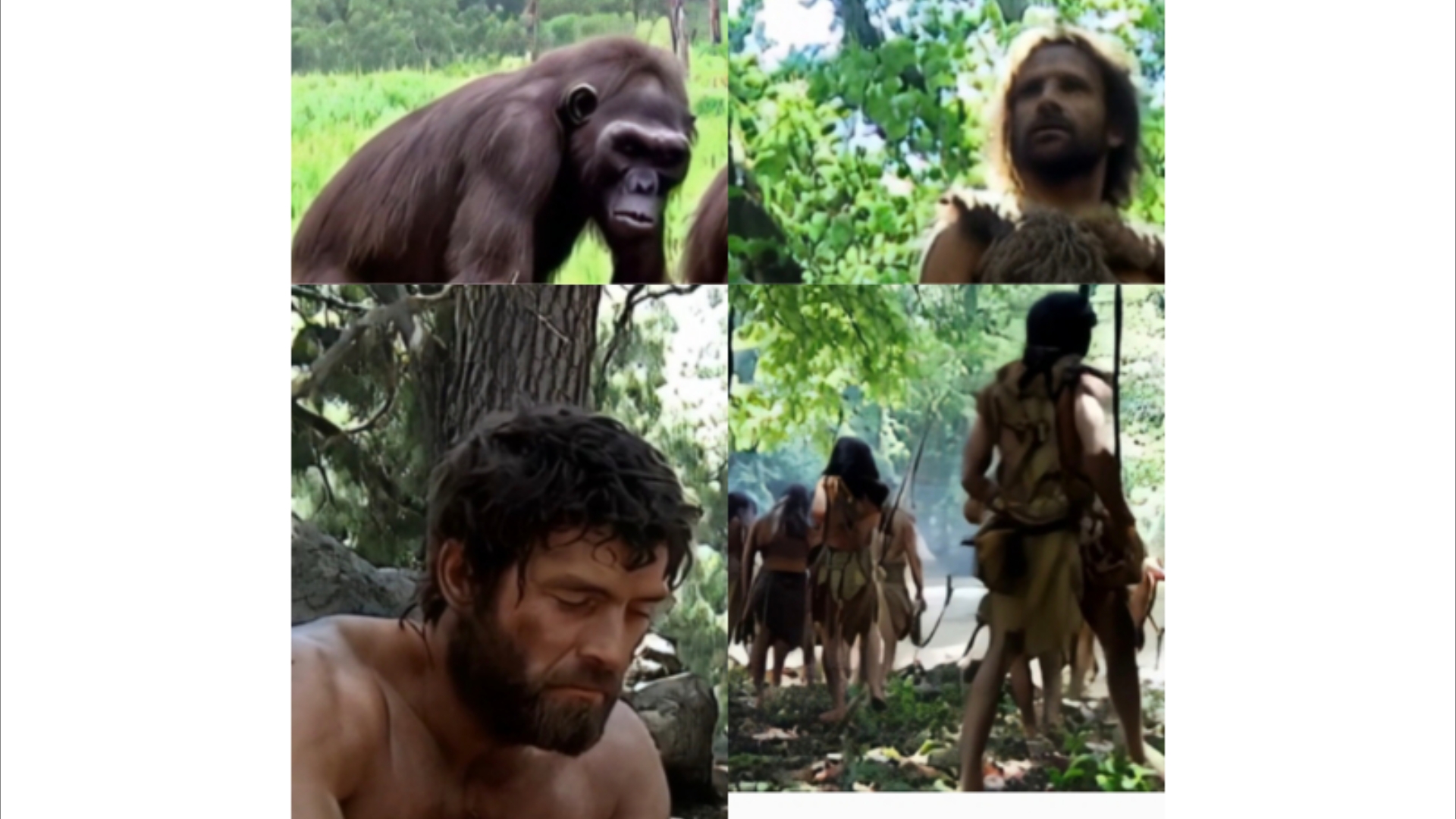 半分钟带你了解人类进化史