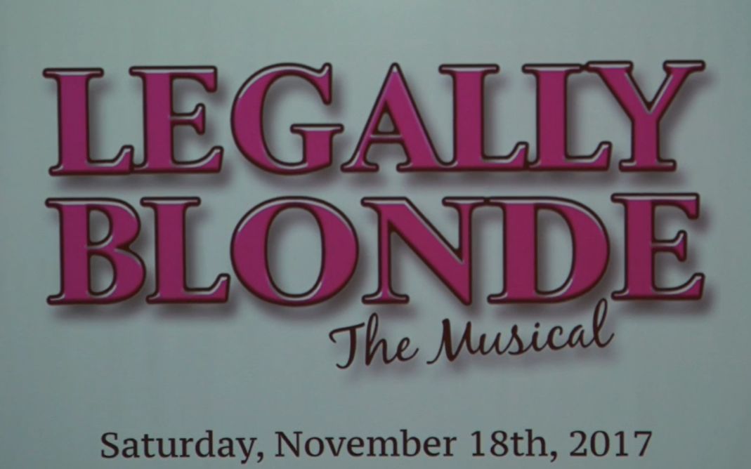 [图]律政俏佳人音乐剧 2017-11-18 Legally Blonde - Garnet Cast - Saturday Night