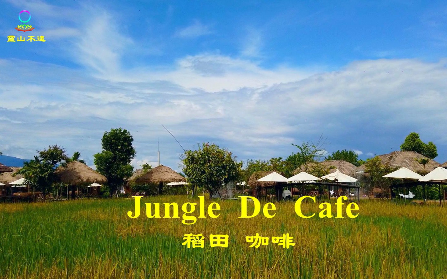咖啡休闲系列清迈的jungledecafe稻田咖啡