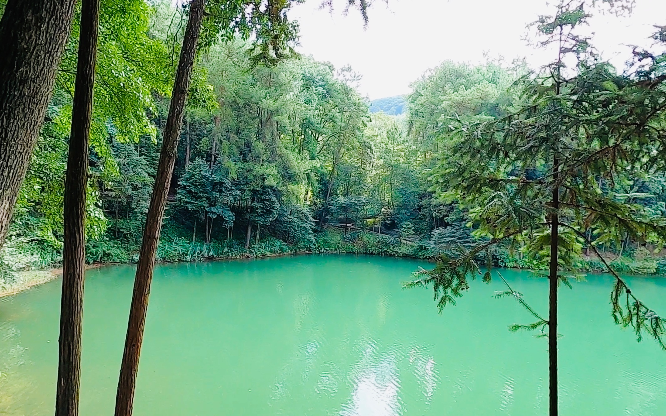自驾游重庆北碚缙云山,翠月湖到腾龙垭观景平台沿途美景