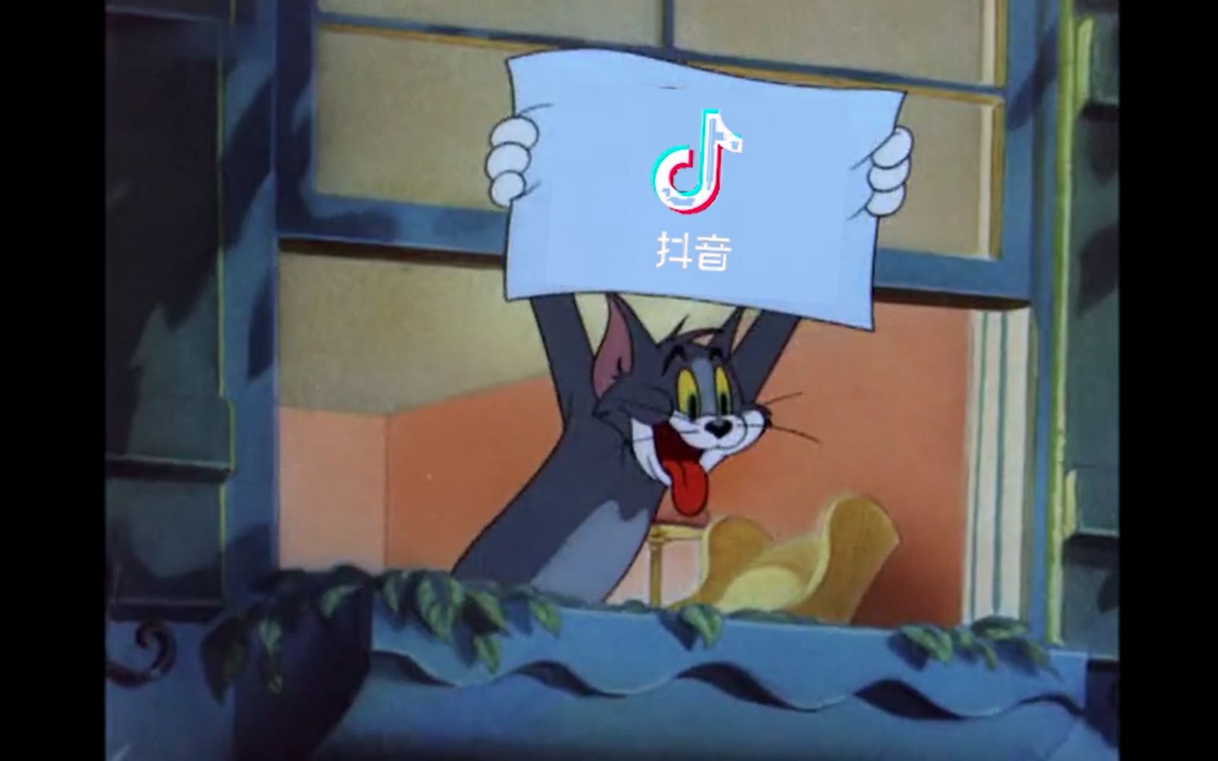 猫和老鼠之抖音之夜哔哩哔哩bilibili