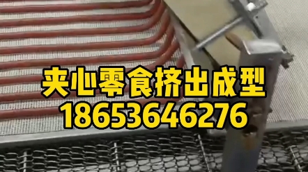 宠物零食肉条挤出机.可生产烘干类零食,冻干类零食及湿粮类产品,通过更换不同的模具,可做多种花样的产品,还可定制夹心模具,双色模具,多色...