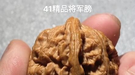 文玩核桃老树一代满天星44尺星点密布凹底漂亮_哔哩哔哩_bilibili