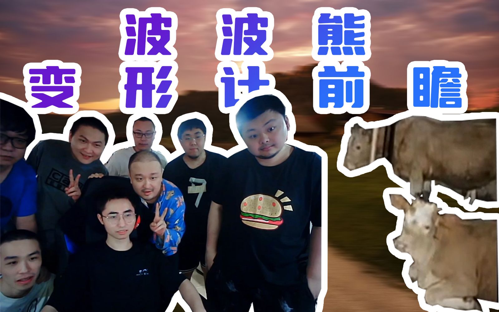 德云色波波熊变形计前瞻太子将到黑莓牛棚体验生活