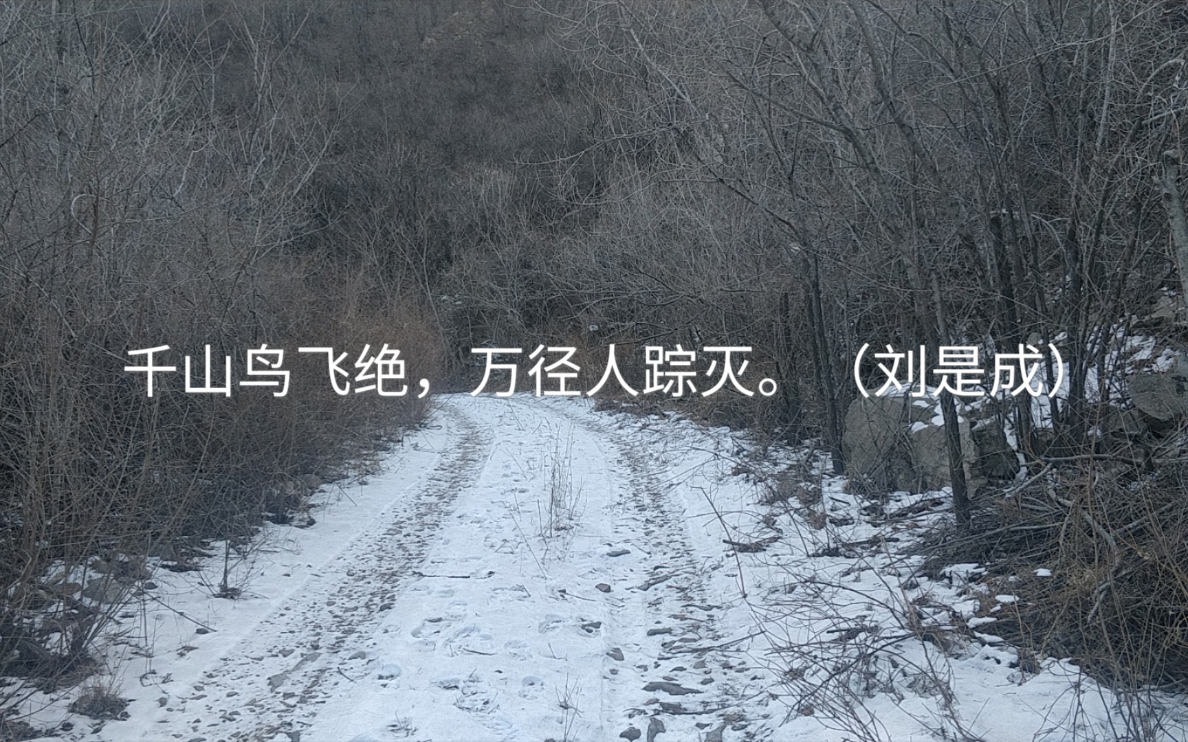 千山鸟飞绝万径人踪灭刘是成