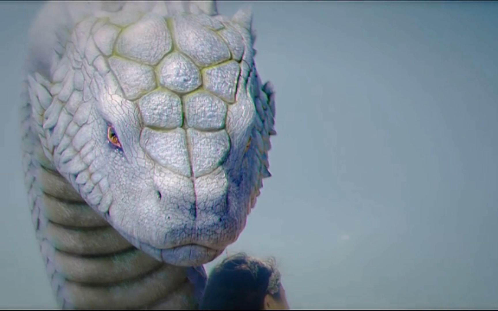 这蛇感觉要成蛟了,好帅