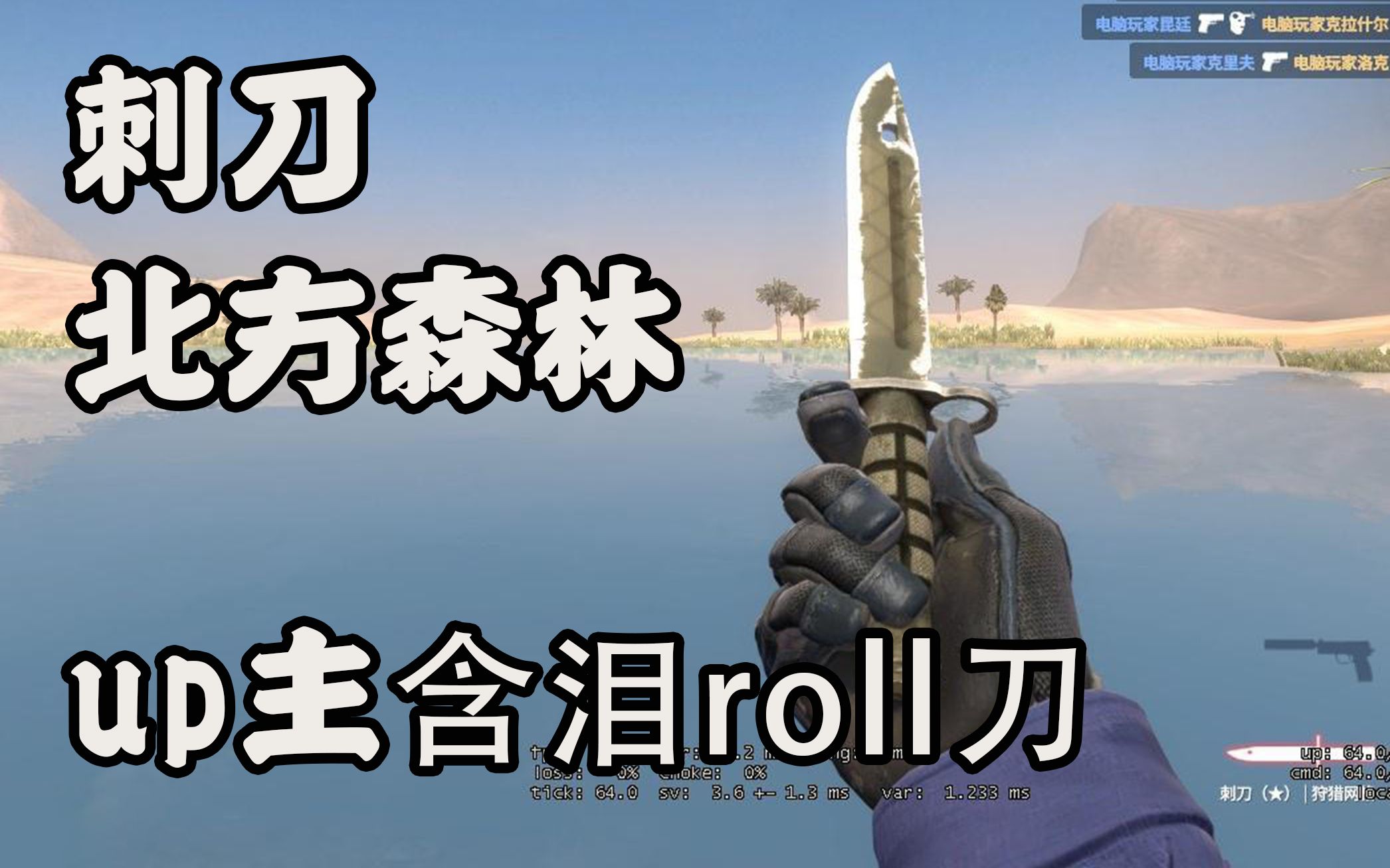 【ROLL封面】这可能是你离刺刀最近了一次了!哔哩哔哩bilibili