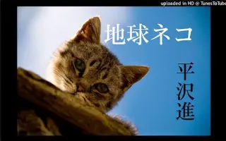 地球猫 搜索结果 哔哩哔哩 Bilibili