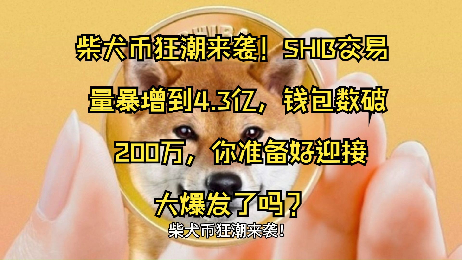 柴犬币狂潮来袭!SHIB交易量暴增到4.3亿,钱包数破200万,你准备好迎接大爆发了吗?哔哩哔哩bilibili