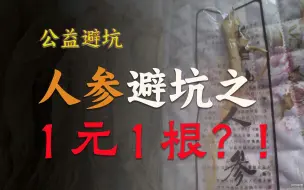 Descargar video: 1元1根的人参到底是什么参？真相解密！人参避坑指南