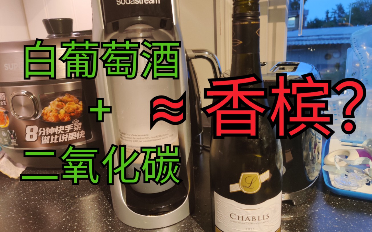 白葡萄酒 + 二氧化碳 = 气泡酒?(香槟)哔哩哔哩bilibili