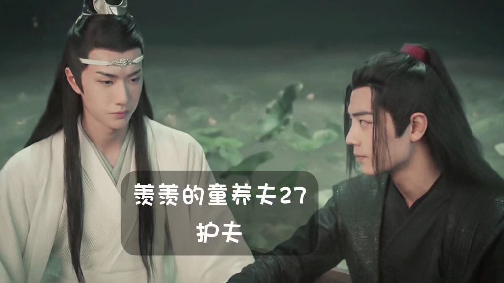 羡羡的童养夫27:魏无羡不顾一切护夫,紧紧抱着蓝忘机