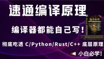 【硬核开课】没人敢教的底层课！从零带你写出自己的编程语言和编译器！Python、C、Rust、C++底层都能看懂？这门课教你做到！