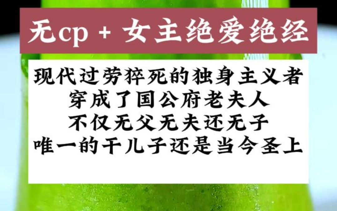 (无cp/免费文)穿成了国公府老夫人,不仅无父无夫还无子.唯一的干儿子还是当今圣上哔哩哔哩bilibili