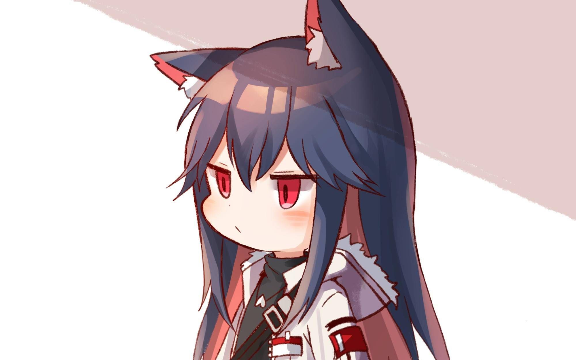 【动态壁纸】《明日方舟》德克萨斯(先行预告)