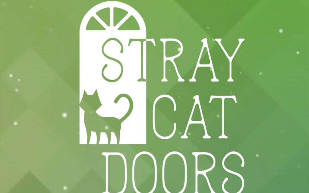 【猫影】迷途猫之旅stray cat doors【完结】哔哩哔哩bilibili