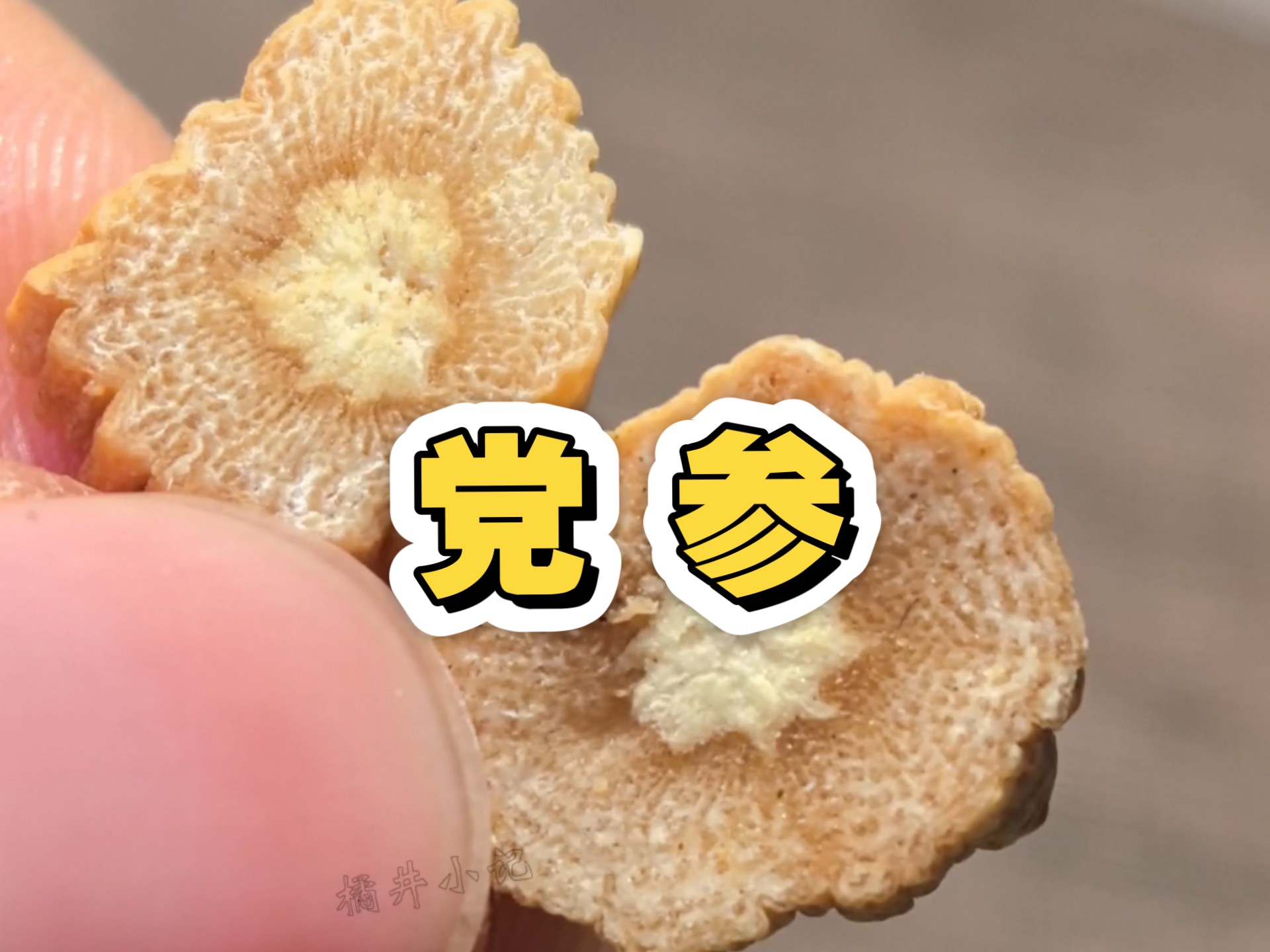 认识中药材第12味【党参】