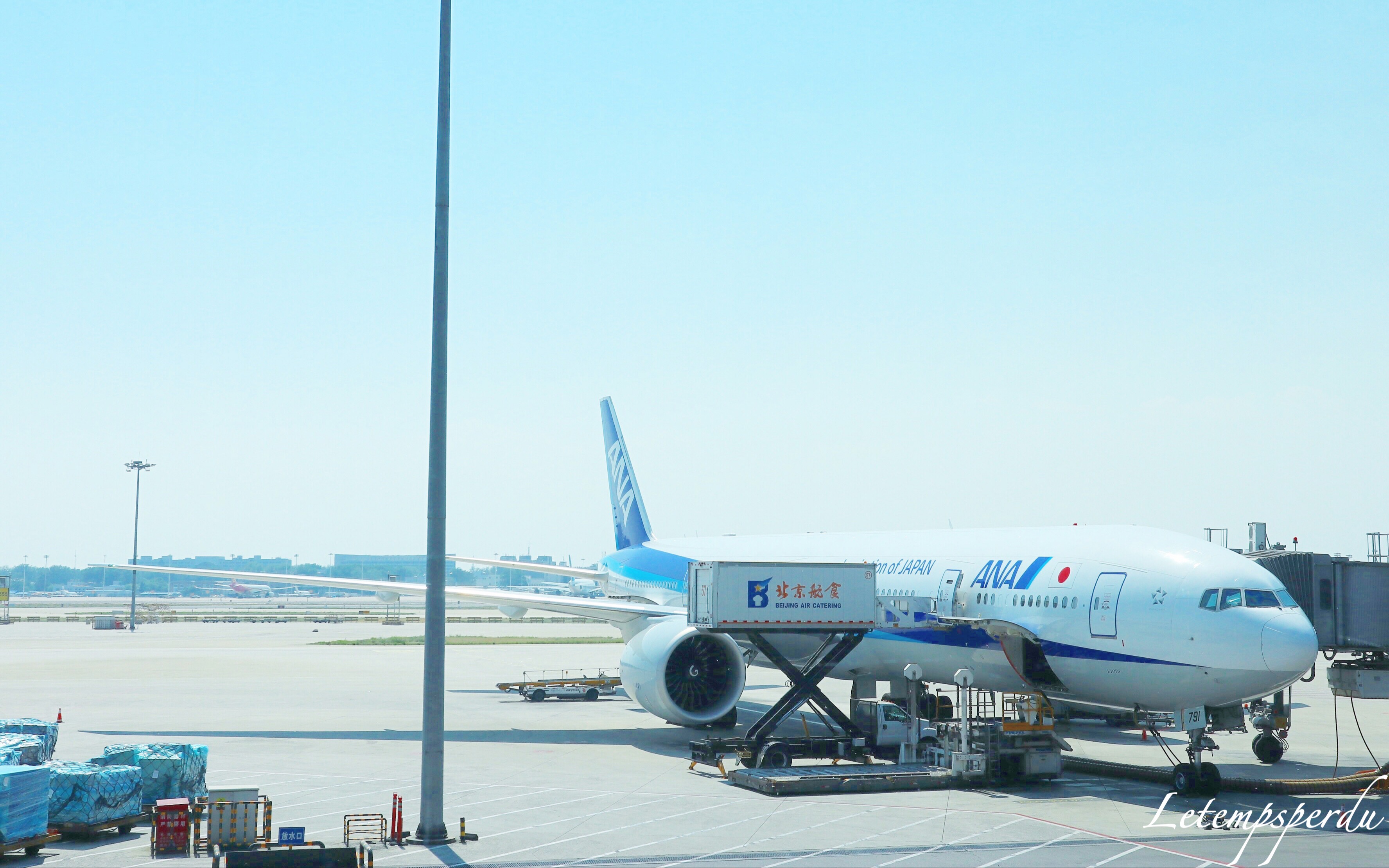 飞行 | ANA 全日空 NH962 北京首都—东京羽田 B77W 商务舱哔哩哔哩bilibili