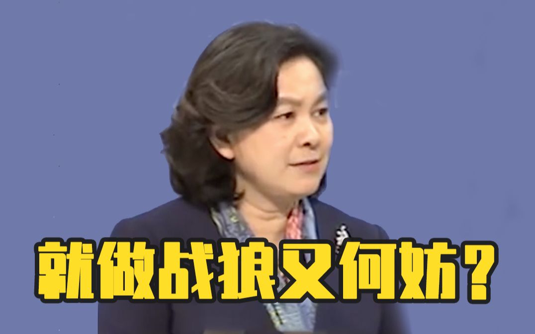 [图]华春莹说就做战狼又何妨