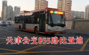 Descargar video: （天津公交）855路比亚迪大衣柜陞安大街进出站