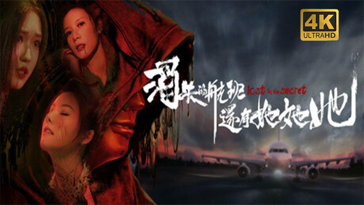 消失的航班，还有她她她！ 全结局视频封面