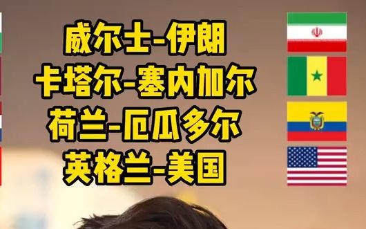 11月25日世界杯预测:威尔士伊朗 卡塔尔塞内加尔 荷兰厄瓜多尔 英格兰美国哔哩哔哩bilibili