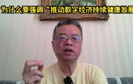 为什么高层要强调“推动数字经济持续健康发展”?协商会透露什么端倪?哔哩哔哩bilibili