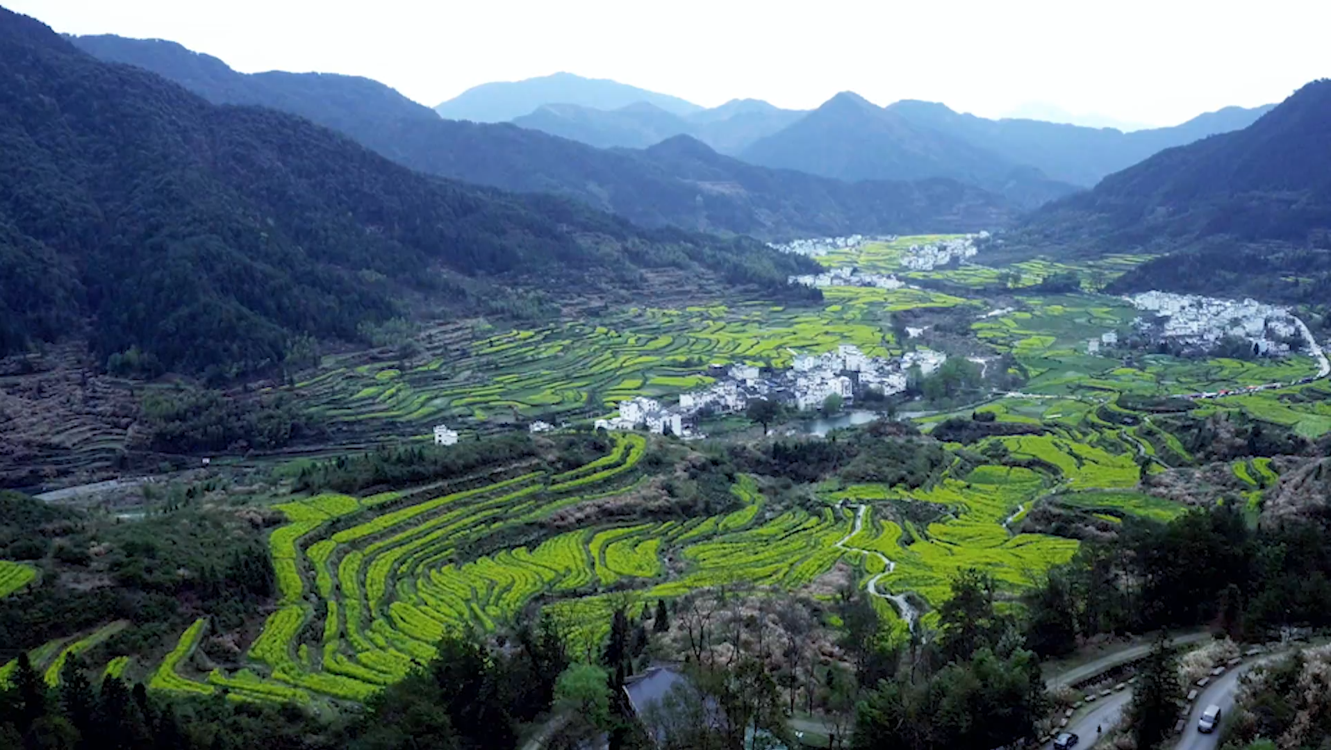 [图]18.花海中的乡村-婺源The Sea of Flowers on Swamps